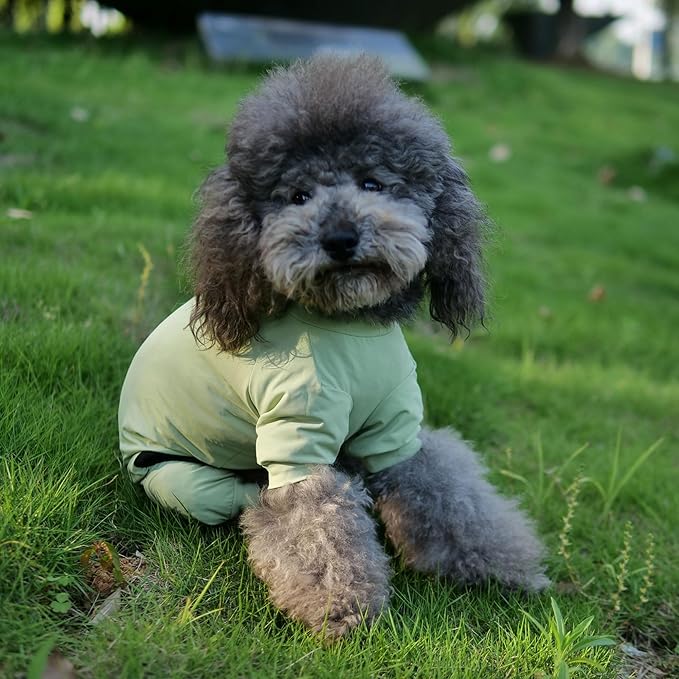 LoveLongLong Dog Jumpsuit with UV Protection and Quick-Dry Fabric for Spring Summer Pet Pajamas Light Green XS