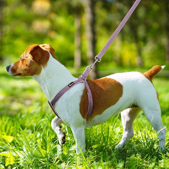 Plutus Pet Cotton Hemp Step in Dog Harness, Sustainable, Lightweight and Escape-Proof, Quick Fit Dog Harness for Puppy Small Medium and Large Dogs, Lavender, L