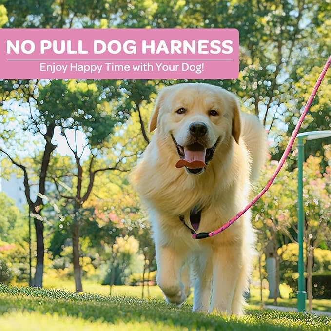 FURRYFECTION Plaid Dog Harness for Medium Dogs | No Pull Reflective Pet Harness | No Choke Adjustable Dog Vest Harnesses | with Leash | Easy Control Handle | Front Lead | Seat Belt | Pink&Black| M