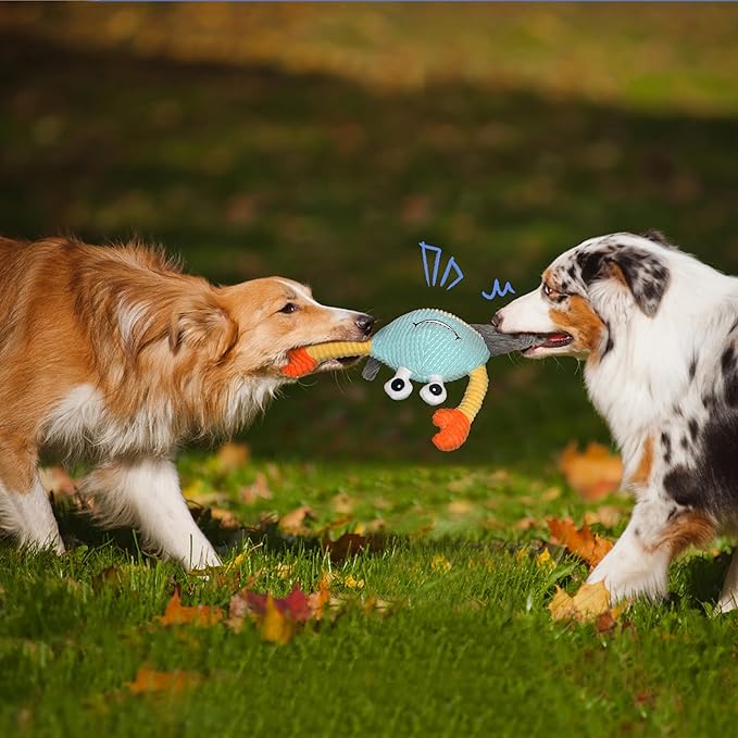 Dog Toys for Aggressive Chewers – 3-in-1 Squeaky Interactive Chew Toy with Spiky Ball for Small, Medium & Large Dog, Pet Plush Toys(Bouncing Ball Not Included)