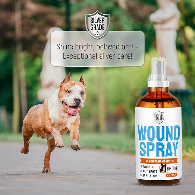 Hot Spot Treatment for Dogs – Silver Wound Spray Helps with Irritation, Bites, Burns, Rashes, Itch, Scratching – Better Use with a Dog Cone – 4 oz