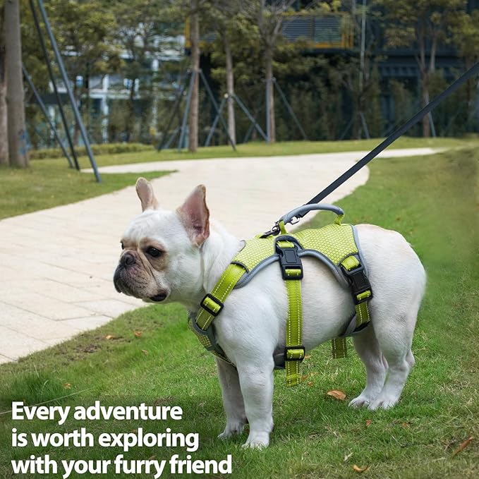 Huntboo Escape Proof Dog Harness, Escape Artist Harness, Reflective Dog Harness with Handle, Durable,Adjustable Vest for Small Medium Large Dogs Walking, Training, and Running Gear(Green,S)