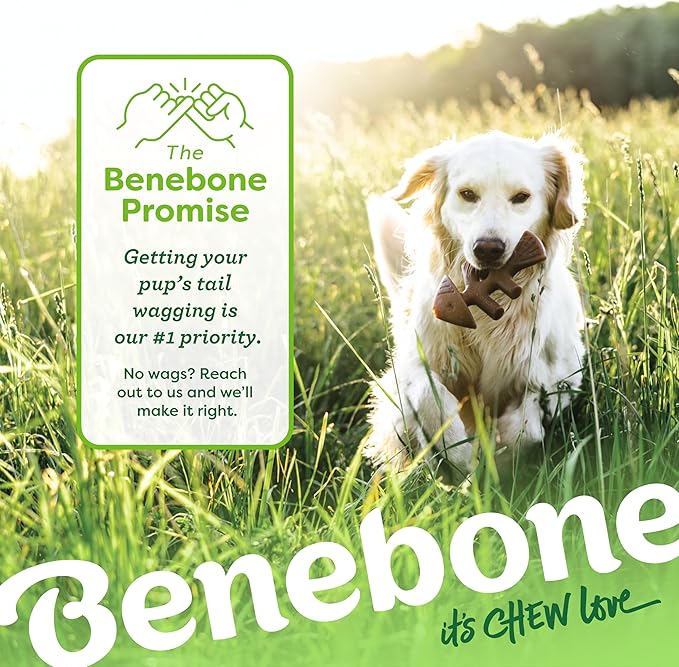 Benebone 2-pack Fishbone/Wishbone Durable Dog Chew Toys, Real Fish, Real Bacon, Made in USA, Medium