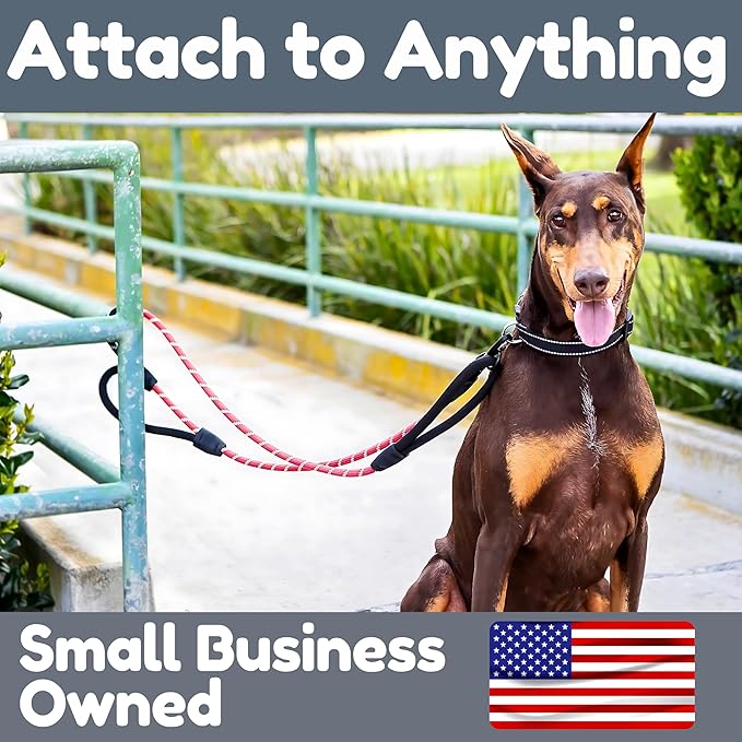 Premium 6 Ft Dog Leash - Two Extra Padded Handles, Heavy Duty Leashes for Medium Dogs to Large Breeds, Reflective, Shock-Absorbing, Anti-Pull Rope Leash, Strong Pet Lead for Everyday Walks - Roam Gear