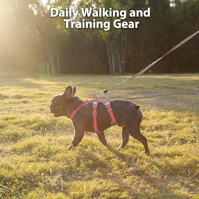 Huntboo Escape Proof Dog Harness, No Pull Reflective Harness with Lift Handle, Adjustable Pet Vest with Front and Back Leash Clips for Small Medium Large Dogs Walking Hiking Training (Red,L)