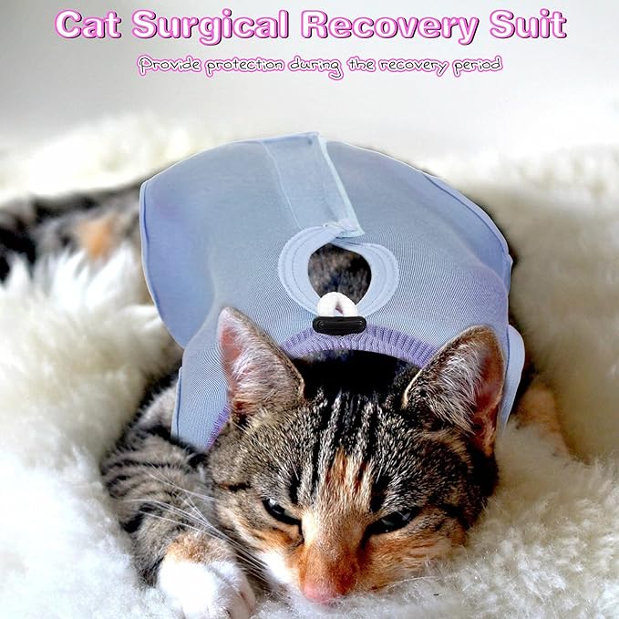 Nuanchu 3 Pieces Cat Recovery Suit Kitten Recovery Suit E-Collar Alternative for Cats and Dogs Abdominal Skin Anti Licking Pajama Clothes Sets (Medium,Solid Style,Purple Pink Blue)