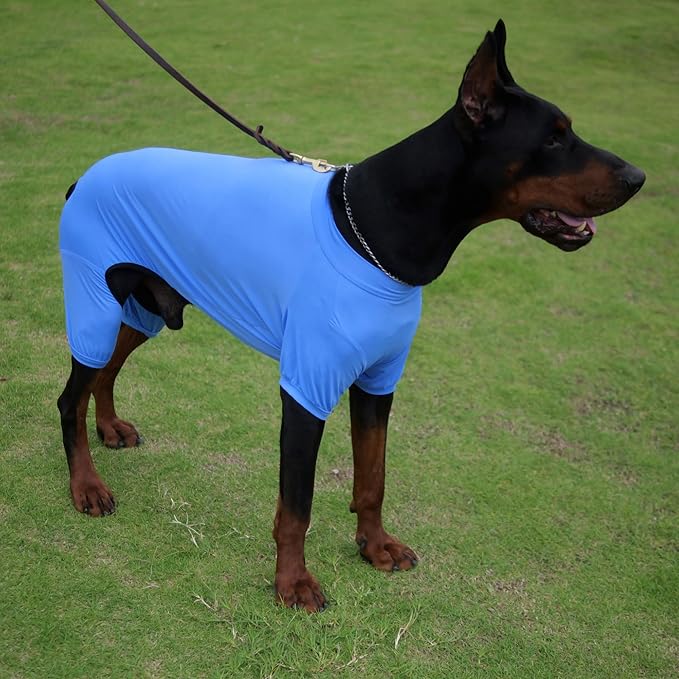 LoveLongLong Dog Jumpsuit with UV Protection and Quick-Dry Fabric for Spring Summer Pet Pajamas Sea Blue XL
