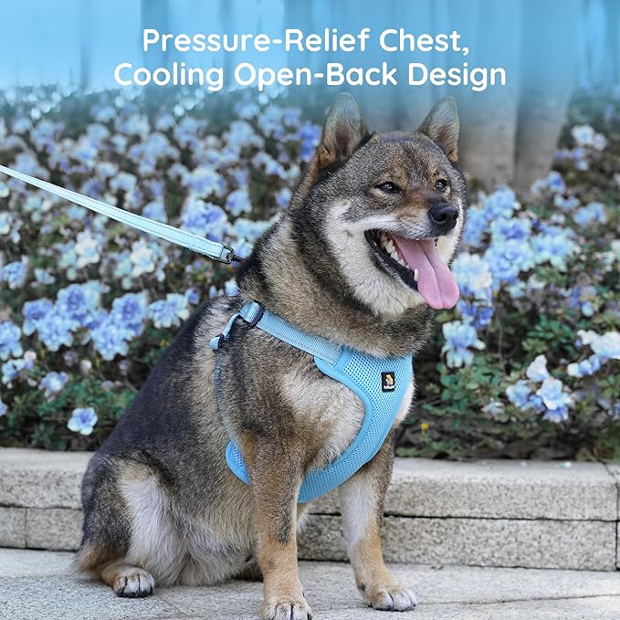 BELLA & PAL Adjustable Step-in Dog Harness, Puppy No-Pull Vest with Leash Set for XS/Small & Medium Dog, Breathable All-Weather Mesh, Reflective Strip, Secure Hook & Loop, Buckle Closure, Dual D-Rings