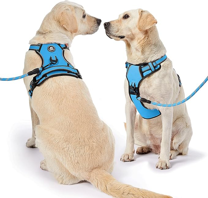 NESTROAD No Pull Dog Harness,Adjustable Oxford Dog Vest Harness with Leash,Reflective No-Choke Pet Harness with Easy Control Soft Handle for Small Medium Dogs(Medium,Blue)