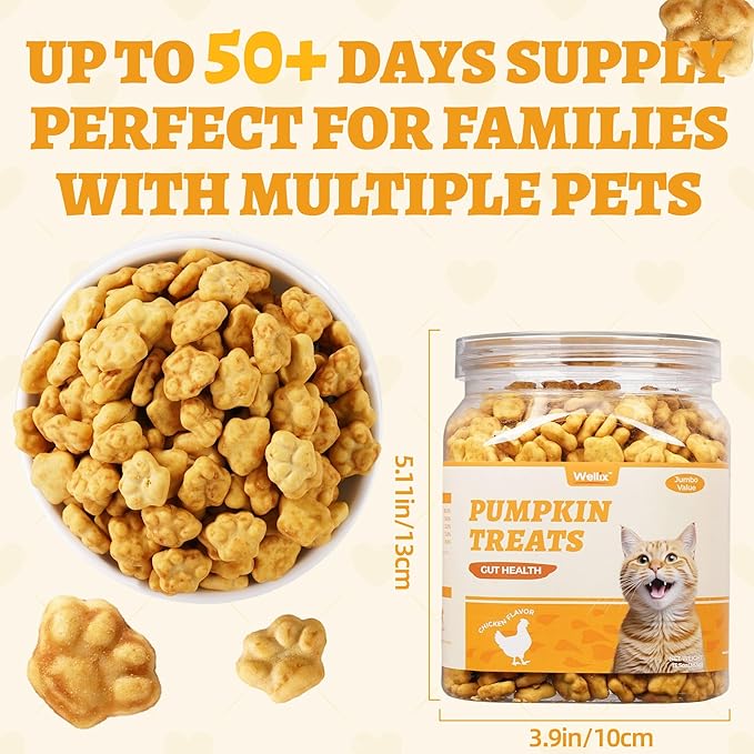 Wellix 13.5oz Healthy Cat Treats Pumpkin Flavor - Chicken Formula Stomach Sensitive Kitten Snacks for Digestive Support - Cat Constipation Relief Low Calorie Food Topper for Cats