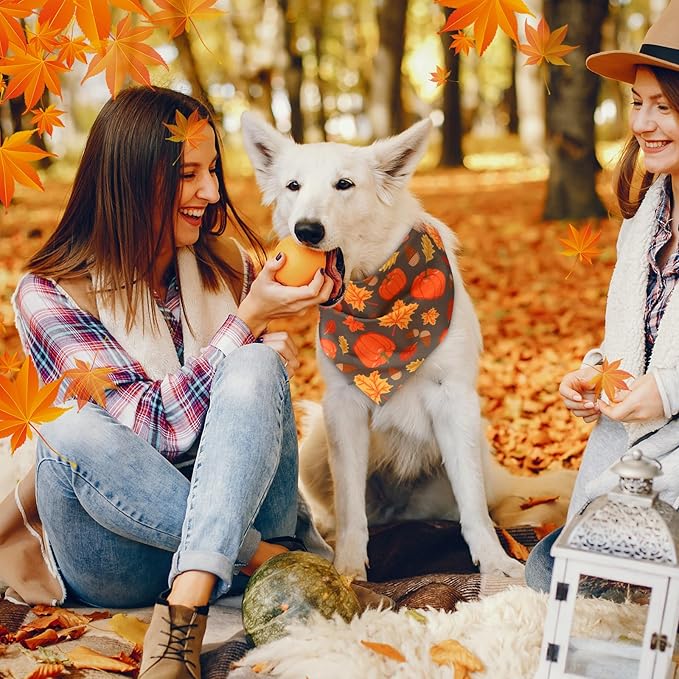 Abbylike 50 Pcs Fall Thanksgiving Dog Bandanas Bulk Pumpkin Bandanas for Dogs Triangle Kerchief Bibs Scarf for Pets Autumn Costume Photo Props Accessories Pet Shops, 25 Styles (31.5 x 21.7 x 21.7)