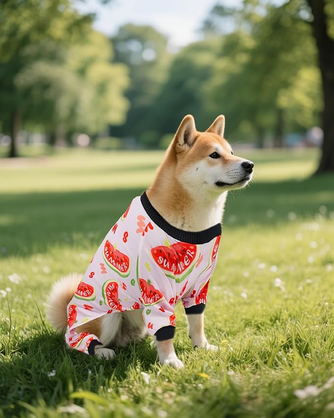 PET SHOW 4 Pack Small Dog Pajamas for Medium Dogs Girl Boy Watermelon Soft Stretchy PJs Whale Ice Cream Jumpsuit Puppy Floral Onesies Outfits with Sleeve Pets Breathable Summer Dog Clothes Costume L