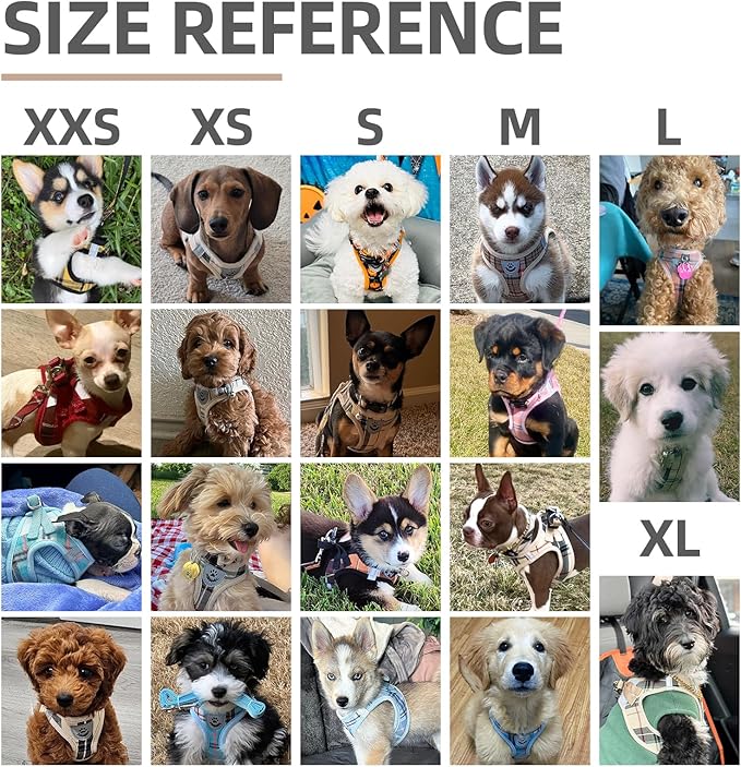 PUPTECK Adjustable Pet Harness Collar &Leash Set Step in for Small Dogs Puppy &Cats Outdoor Training &Running, Soft Mesh Padded Reflective Vest Harness,M: Chest girth: 16-18in Collar: 11.8-15.7in