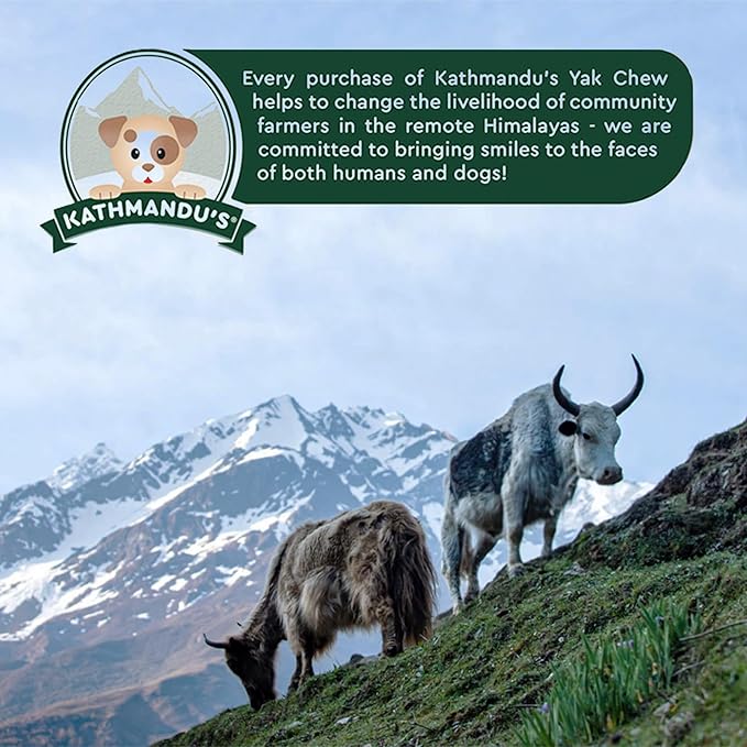 100% Natural Himalayan Yak Cheese for Dogs - XLarge (Pack of 1) - Sourced from Pristine Himalayan Foothill, Rawhide-Free, NO preservatives