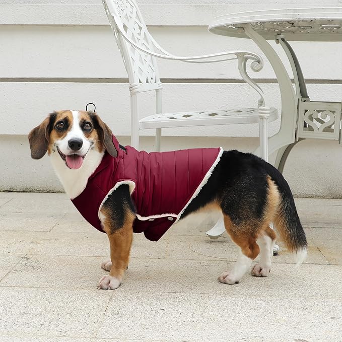 Fleece Lining Dog Hoodie with Harness Built in,Extra Warm Small Dog Jacket in Winter Puppy Coats with Drawstring Hooded,Red XS