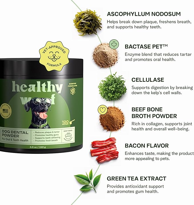 Dog Dental Powder with Icelandic Kelp, Enzymes & Green Tea – Dog Breath Powder & Tartar Remover – Dental Cleaning for Dogs – 8.5 oz (120 Servings)