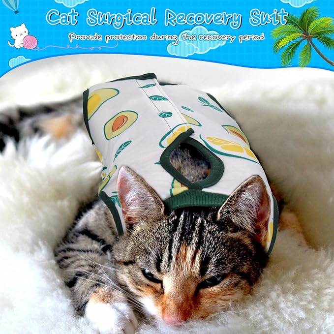 Nuanchu 3 Pieces Cat Recovery Suit Kitten Recovery Suit E-Collar Alternative for Cats and Dogs Abdominal Skin Anti Licking Pajama Clothes Sets(Small,Watermelon Style,Colorful)