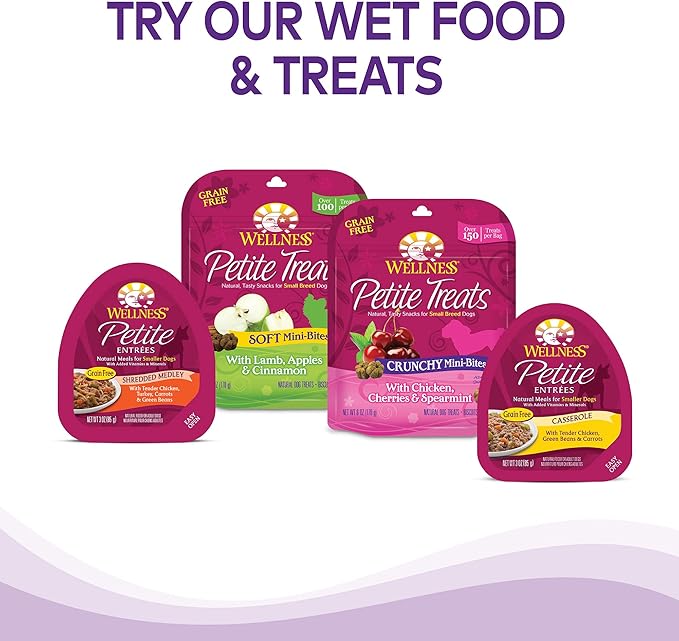 Wellness Complete Health Dry Dog Food for Small Dogs, Toy Breed, Wholesome Grains, Natural, Chicken, Brown Rice, & Peas Recipe, 4-Pound Bag