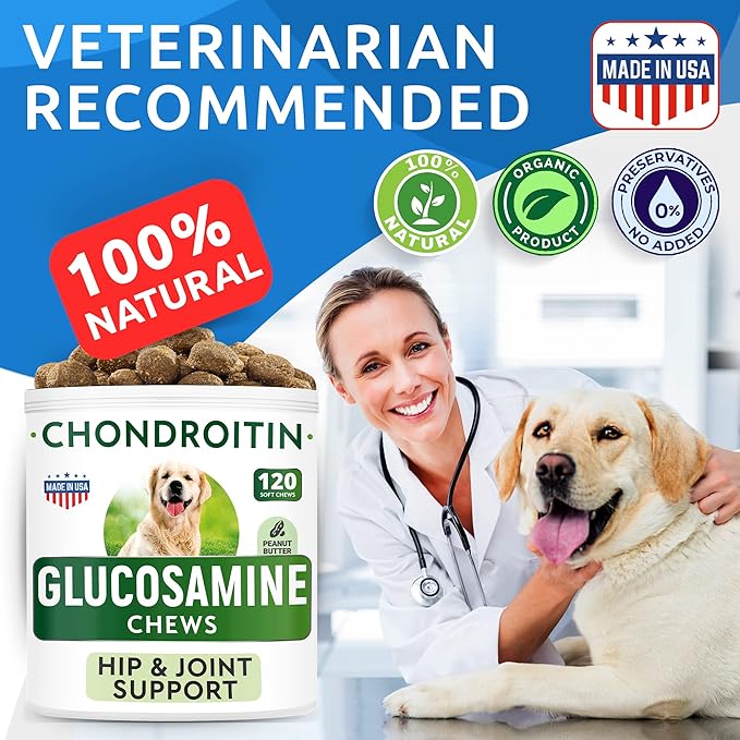 Glucosamine Chondroitin Dog Hip & Joint Supplement - Joint Pain Relief - Hip & Joint Chews for Dogs - Joint Support Large Breed - Senior Doggie Vitamin Pills Joint Health - (240 Treats - Peanut Butte)