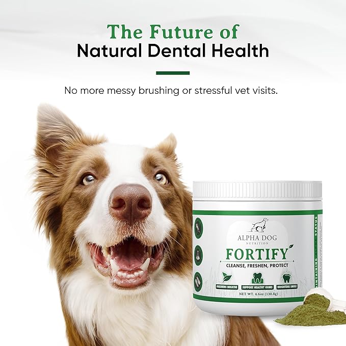Dog Teeth Cleaning Powder - Fortify Dental Powder for Dogs - Plaque Remover and Freshens Bad Breath with Fresh Green Supplements - Contains Kelp, Probiotics, and Other Tooth Cleaning Ingredients