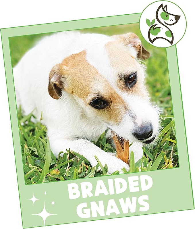 Nature Gnaws Braided Gnaws for Dogs 5-6" (3 Count) - Long Lasting for Small and Medium Dogs - Natural Beef Bully Stick Combo Braids - Rawhide Free