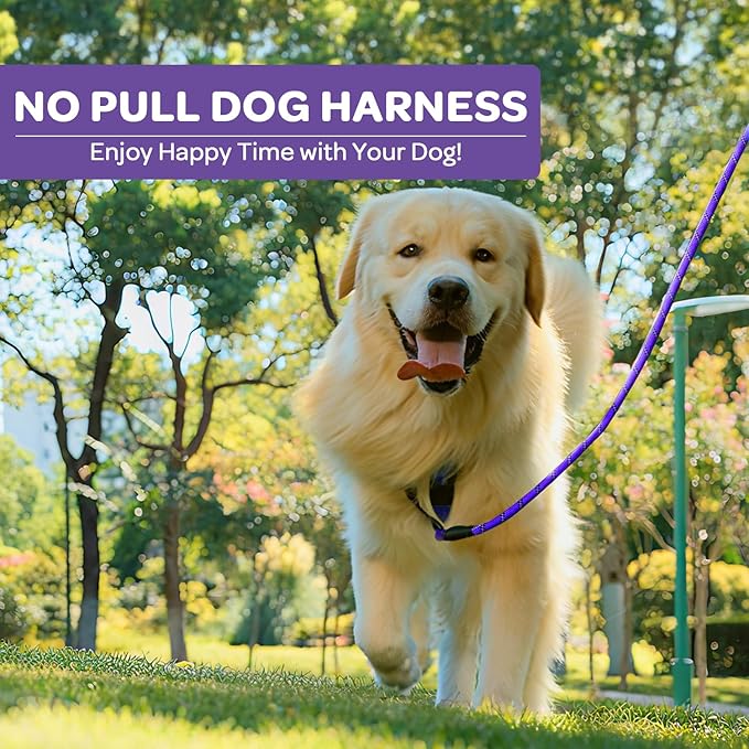 FURRYFECTION Dog Harness | No Pull Dog Harness | Reflective Oxford | Padded Handle | 4 Adjustable Straps | 2 Leash Clips | No Choke Pet Vest Harness for Small Medium Large Dogs | Purple | L