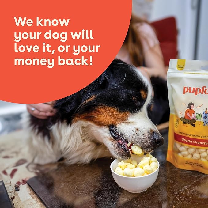 Pupford Cheese Crunchies, All-Natural, Healthy, Freeze Dried, Single-Ingredient Treat for Dogs & Puppies (Gouda, 7.50 oz)