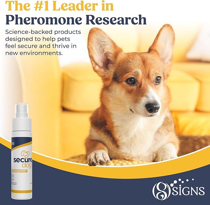 SecureDog Transport, Water Based Calming Travel Spray, Naturally Supports Calm and Wellbeing Helping Relieve Any Feeling of Anxiety or Stress
