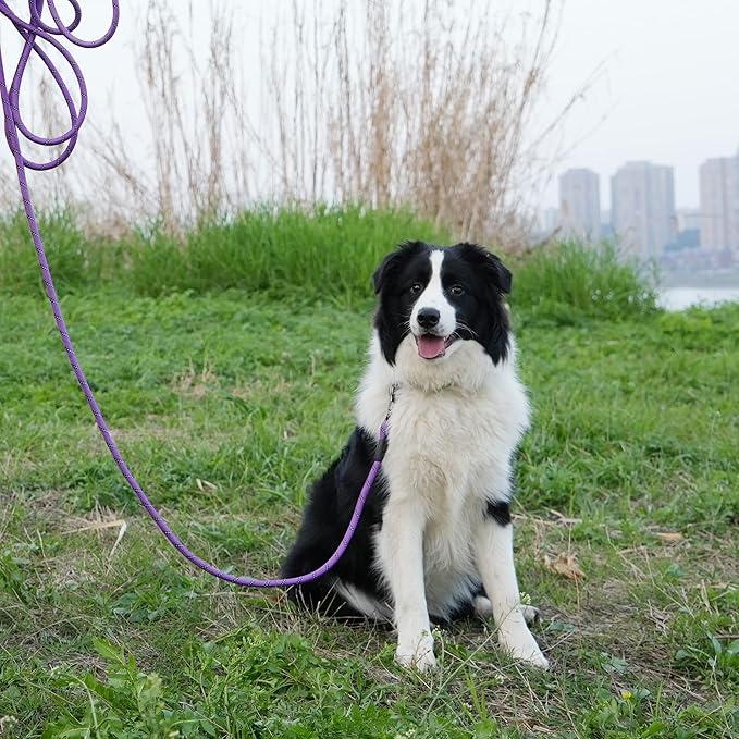 NTR Strong Dog Leash - 15FT Reflective Purple Rope with Swivel Lockable Hook and Padded Handle, Cat & Dog Leash for Small to Large Dogs, Training, Playing, Camping, or Backyard