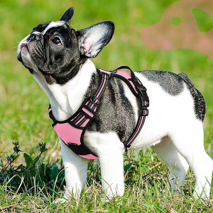 Eagloo Dog Harness Small Sized Dog, No Pull Service Vest with Reflective Strips and Control Handle, Adjustable and Comfortable for Easy Walking, No Choke Pet Harness with 2 Metal Rings, Pink, S