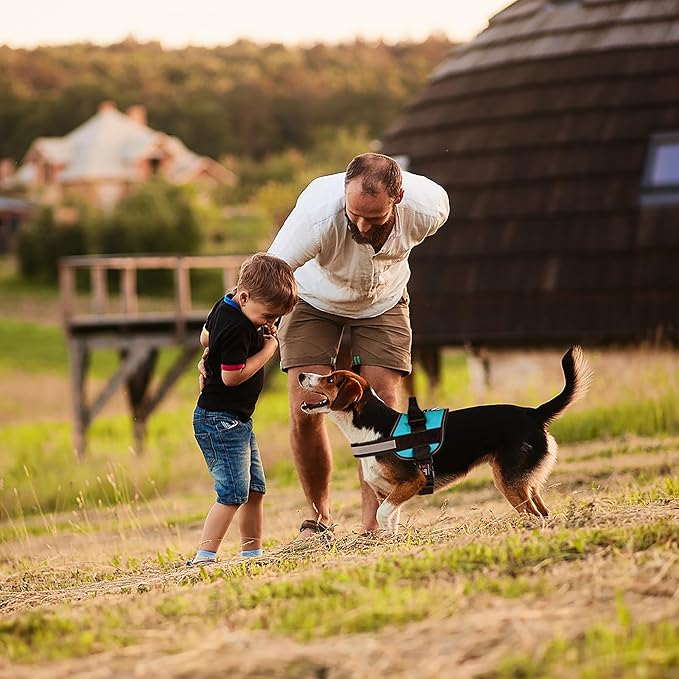 Dogline Dog Harness, Reflective No-Pull Adjustable Vest with Handle for Walking, Training, Breathable, No - Choke Harness for Small, Medium or Large Dogs Room for Patches Girth 27 to 34 in Turquoise