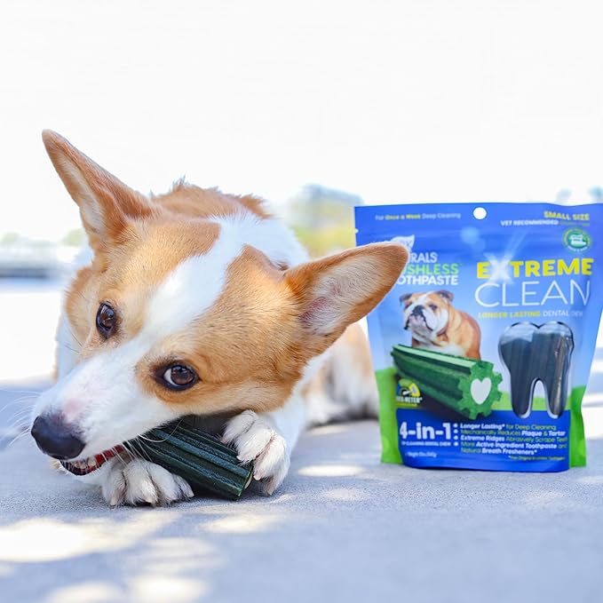 ARK NATURALS Extreme Clean Brushless Toothpaste for Small Breeds, 12 oz Bag, Long-Lasting Dog Dental Chew with Toothpaste Center, Freshens Breath, Reduces Plaque & Tartar