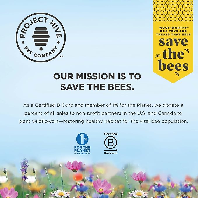 XL Pumpkin Dental Treats for Dogs - 18.3 oz Ñ Healthy, Vegetarian, Natural Pumpkin and Honey, Vegetarian Dog Chews, Made in The USA (Chew Sticks, Large Breeds)-Clean Teeth and Freshens Breath