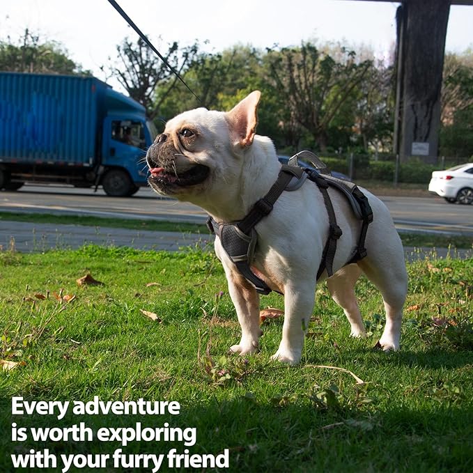 Huntboo Escape Proof Dog Harness, Escape Artist Harness, Reflective Dog Harness with Handle, Durable,Adjustable Vest for Small Medium Large Dogs Walking, Training, and Running Gear(Black, M)