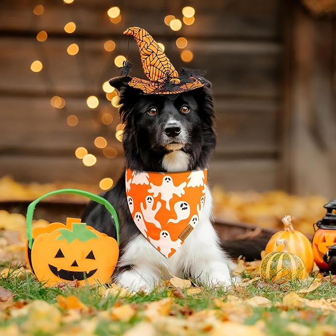 Halloween Dog Bandanas - 2 Pack Fall Dog Bibs | Reversible Pumpkin and Ghost Pet Scarf for Boys and Girls | Premium Durable Fabric | Orange Dog Bandana for Large and Extra Large Dogs (X-Large)