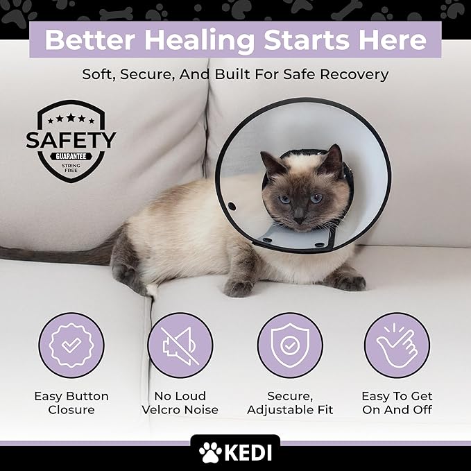 Cat Recovery Cone Kit Post Surgical Soft Pet Vest, Collar, and Non-Irritating Protection Cone for Cats - Comfortable Injury Care Solution (Black with White Paws, Small)