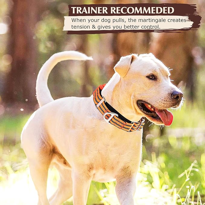 Martingale Collar for Dogs -Reflective Nylon No Slip Choke with Padded Comfort Heavy Duty Dog Collar with Quick Release Buckle for Training, Walking & Overexcited Pulling Orange S