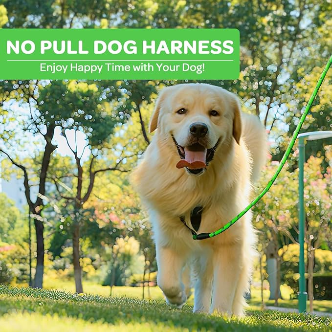 FURRYFECTION Dog Harness | No Pull Dog Harness | Reflective Oxford | Padded Handle | 4 Adjustable Straps | 2 Leash Clips | No Choke Pet Vest Harness for Small Medium Large Dogs | Green | S