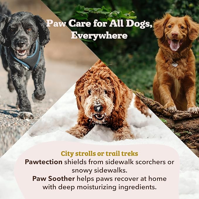 Natural Dog Company Paw Soother Balm & Wax 2 oz Tin – Restorative Paw Repair with Coconut & Hempseed + Calendula – Heals Dry, Cracked, Rough Pads – Lick-Safe, Vegan for All Breeds