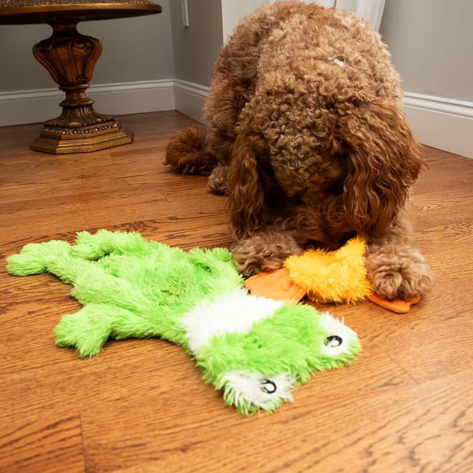 FGA MARKETPLACE Duck and Frog Flat NO Stuffing NO Squeak Plush Dog Toy, Funny Style Will Entertain Your Pet for Hours, Recommended for Small and Medium Dog 21 INCH Long