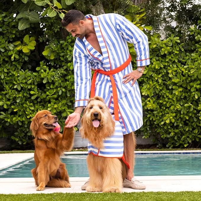 Dog Grooming Slicker Wire Brush: Designed for Long Haired Dog Breeds - Dematting and Deshedding, Comfortable and Easy to Use, Ergonomic Handle - Small (Teal, Small)