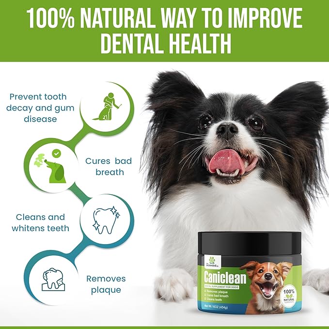 Caniclean Tartar Remover for Dogs - Seaweed for Dogs Teeth to Remove Plaque and Freshen Stinky Dog Breath - 3.5oz/100g