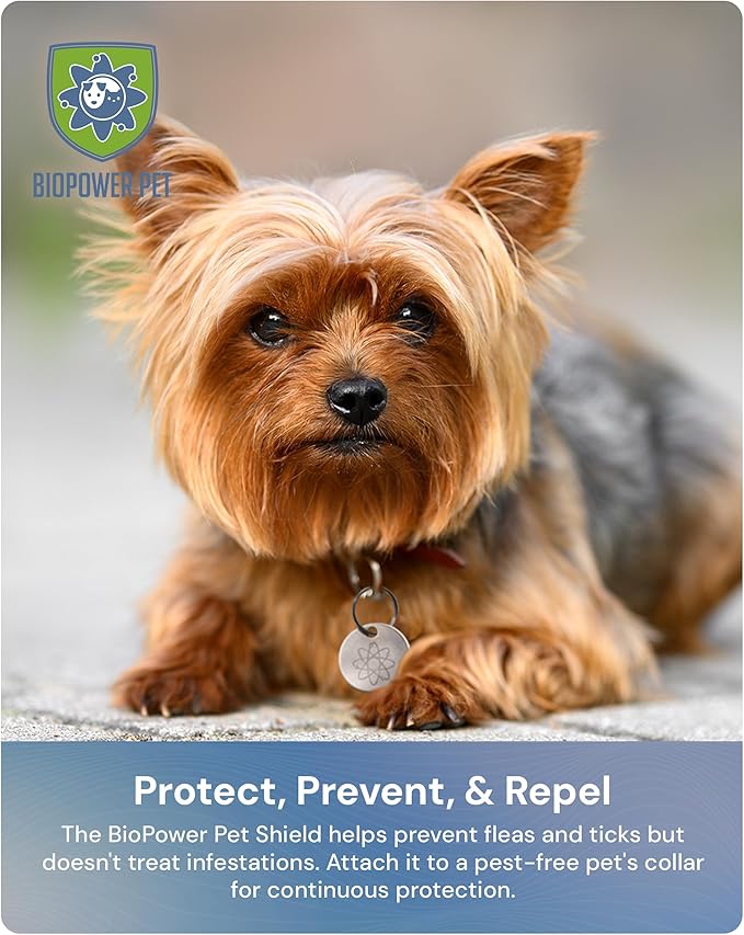 Natural Flea & Tick Repellent Collar Tag for Dogs & Cats – BioPower Pet Shield – Safe for Pets When Used as Directed – Lasts 1 Full Year Small, Regular Size Tag Bundle (2 Pack)