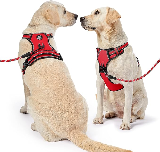NESTROAD No Pull Dog Harness,Adjustable Oxford Dog Vest Harness with Leash,Reflective No-Choke Pet Harness with Easy Control Soft Handle for Small Medium Dogs(Medium,Red)