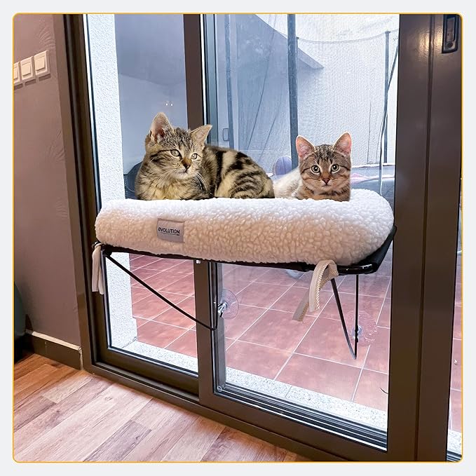 EvolutionUSA Cat Window Perch, Durable Feline Window Bed, Comfy Perch for 360 Views, Durable Elevated Cat Bed Lounger, Ideal Cat Window Hammock for Large Cats, Heavy Duty Window Bed, 24.4x12.6 in
