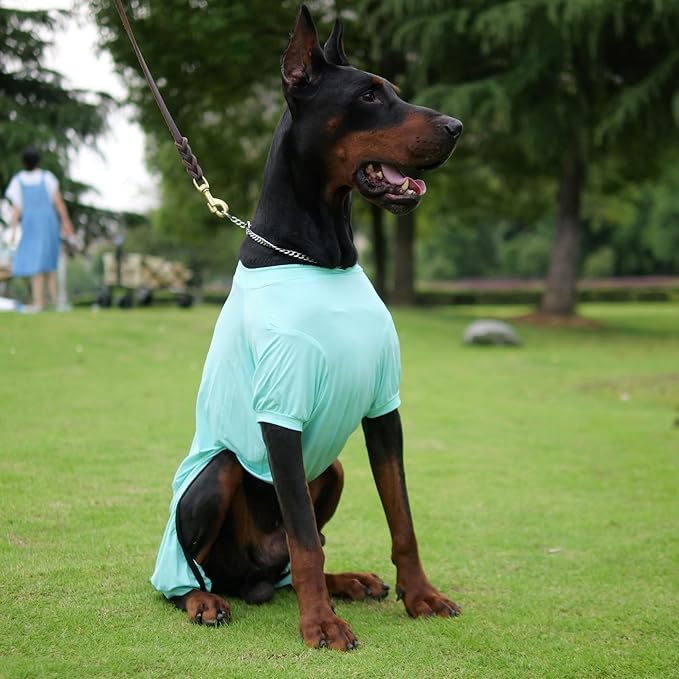 LoveLongLong Dog Jumpsuit with UV Protection and Quick-Dry Fabric for Spring Summer Pet Pajamas Turquoise S