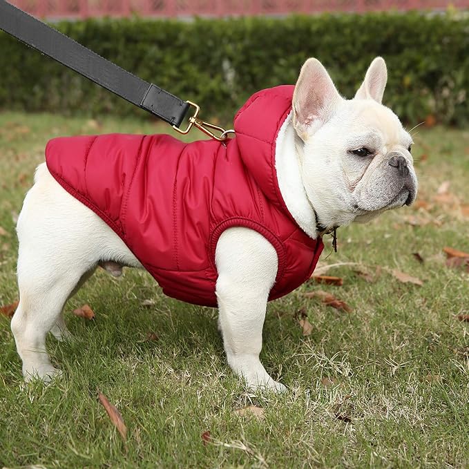 Fleece Hoodie, Windproof Waterproof Coat, Winter Warm Jacket for Dogs - Cold Weather Pet Apparel Clothes Vest for Small Medium Large (2XL, Red)