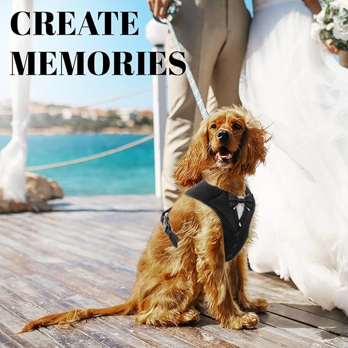 AVERYDAY Dog Tuxedo for Wedding Outfit, Dog Suit and Tie Costumes for Birthday, Halloween, Cosplay, Christmas Party, Pet Formal Wear with Bowtie, Tux for Small Dogs, Chihuahua, Bichon, Maltese, Cats