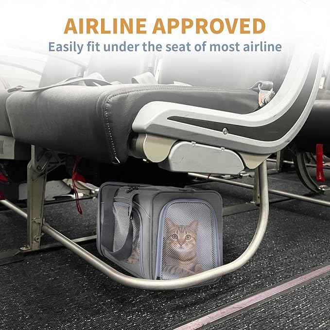 Petsfit Airline Approved Pet Carrier for Small Cats, 15x8x10 TSA Approved Carrier, with Removable Dual-Sided Padding (2-Way Placement) - Fits Under Most Airplane Seats, Escape Proof (Grey)