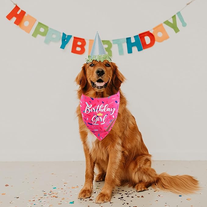 Realeaf Birthday Girl Dog Bandana, Dog Birthday Party Supplies,Premium Durable Fabric, Bandana for Large and Extra Large Dogs (Pink, X-Large)
